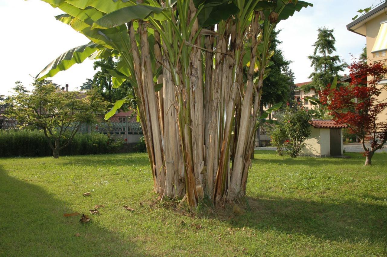 B&B Villa Carolina Vaprio dʼAdda Dış mekan fotoğraf